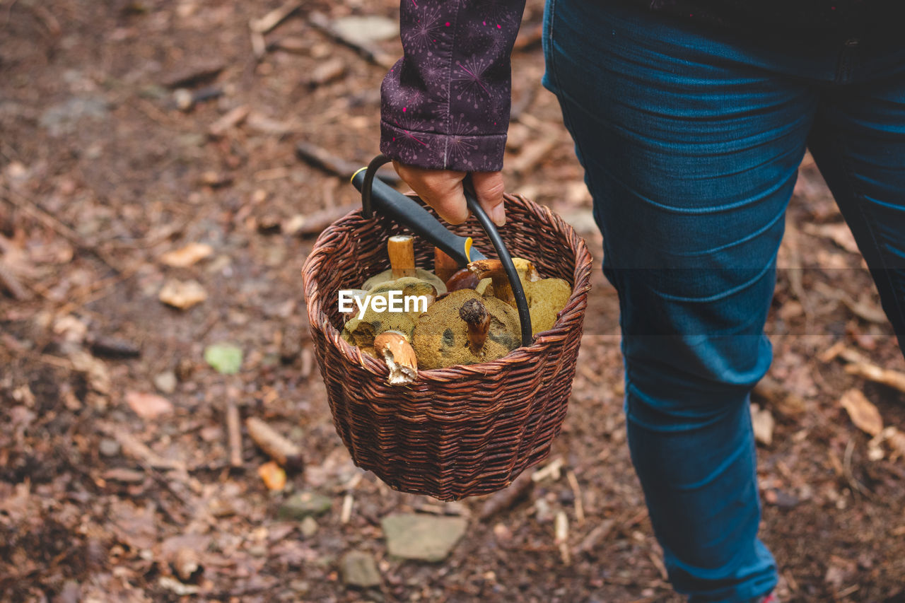 Woman in outdoor clothing holds a basket full of mushrooms
