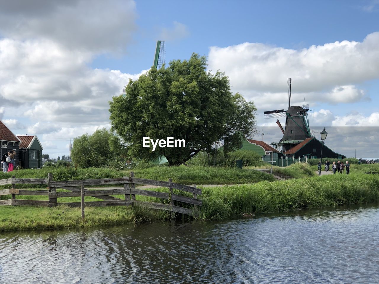 Scenic view of windmills 