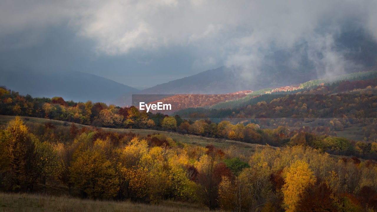 Scenic view of trees against sky during autumn