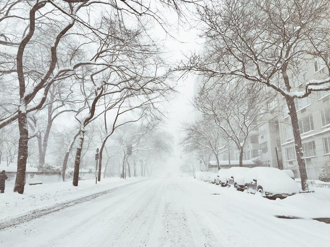 SNOW COVERED ROAD ALONG TREES