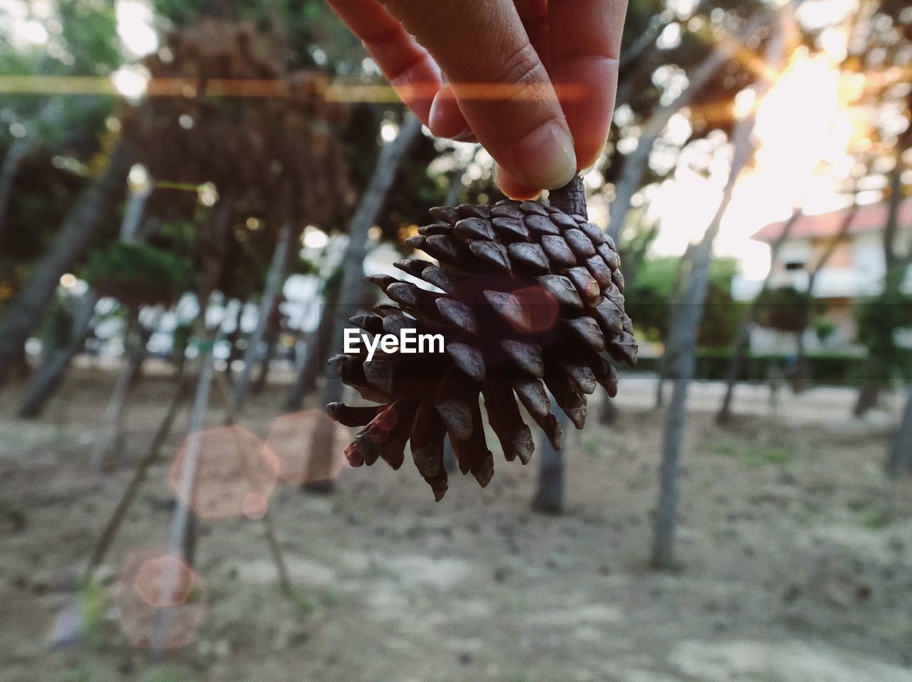 CLOSE-UP OF HAND HOLDING SNAKE