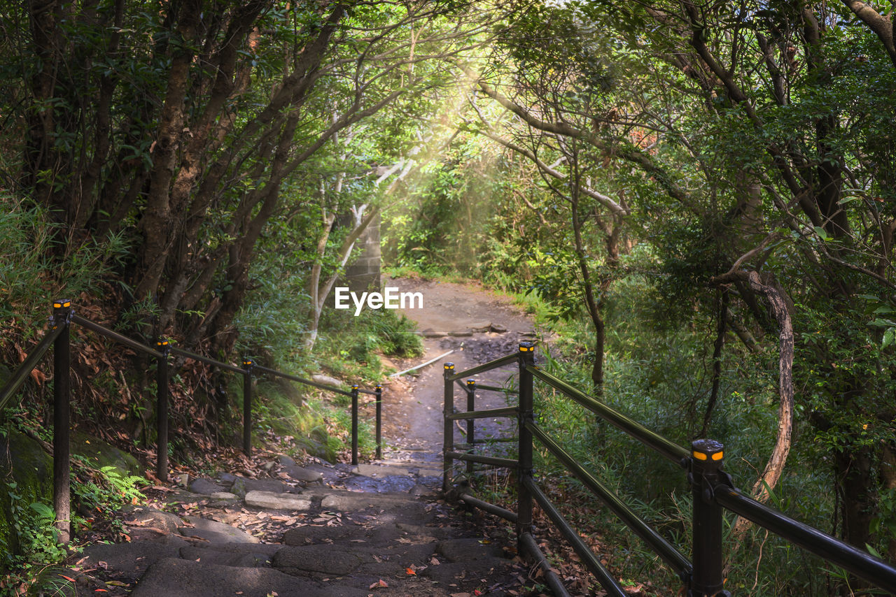 Hiking path of stone quarry of mount nokogiri leading to the cliffs jigoku nozoki.