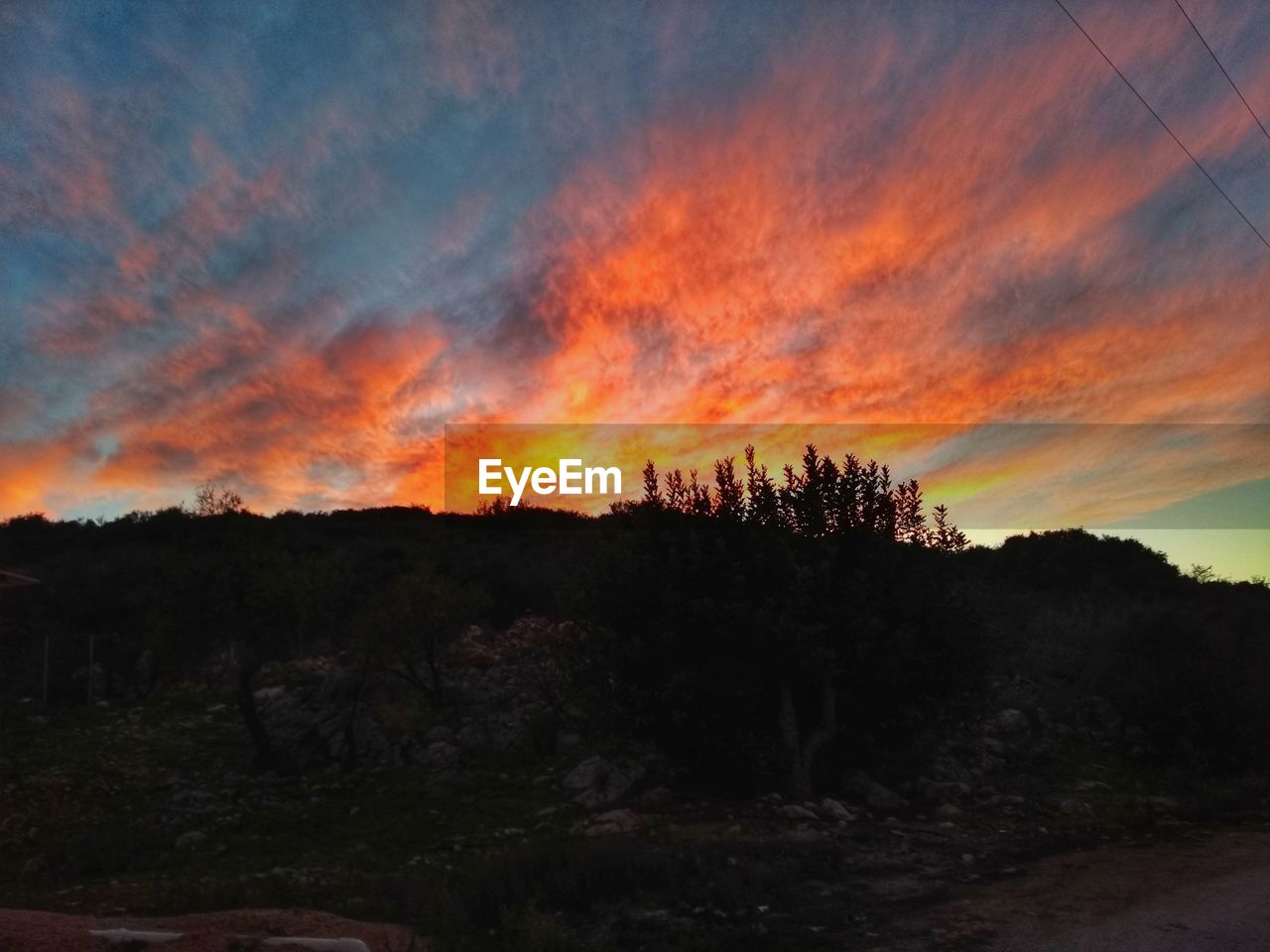 SCENIC VIEW OF TREE MOUNTAINS AGAINST ORANGE SKY