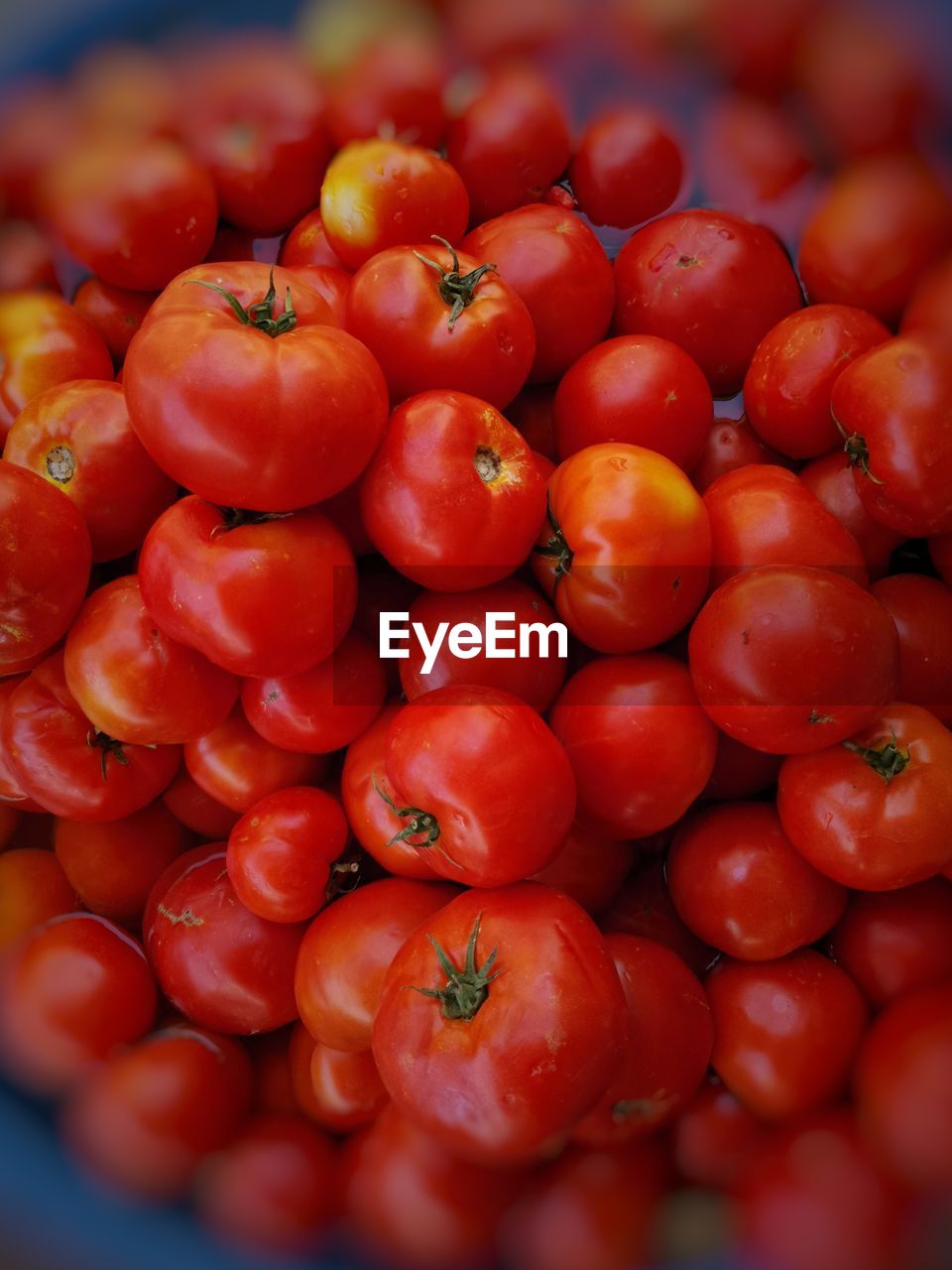 FULL FRAME SHOT OF TOMATOES AT MARKET