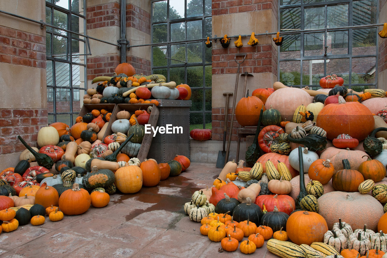 Various pumpkins for sale at market