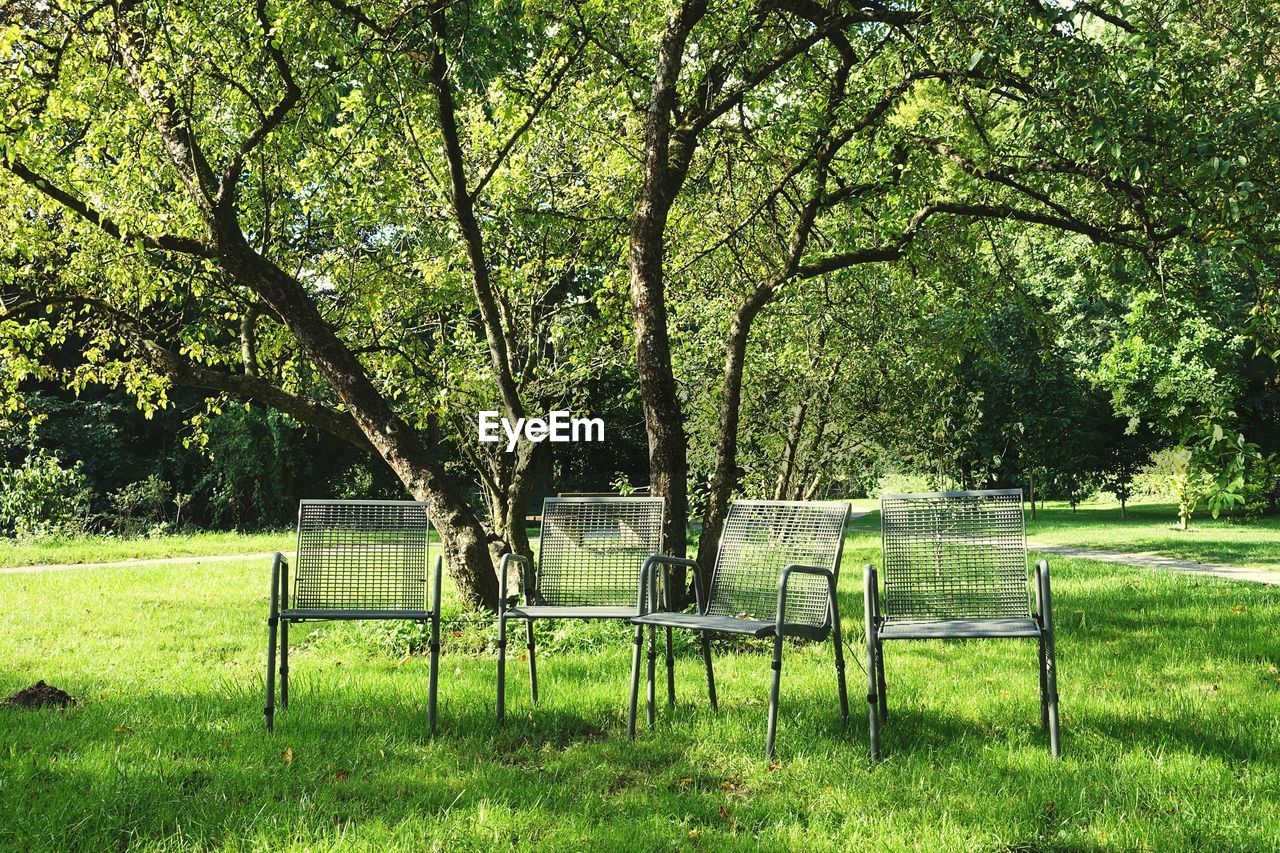 Chairs under tree in park