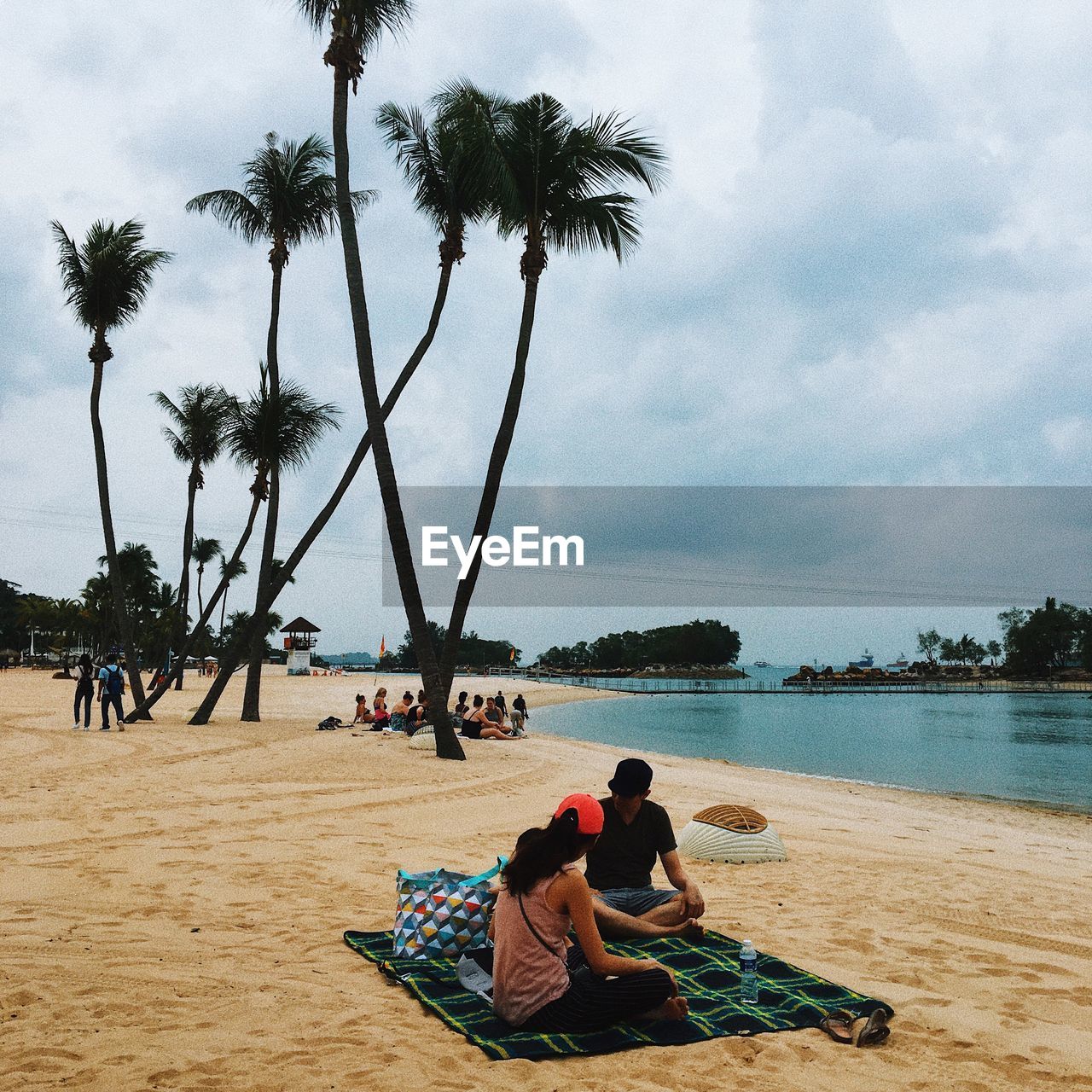 PEOPLE SITTING ON BEACH WITH PALM TREES