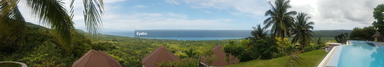 PANORAMIC VIEW OF TREES AND MOUNTAINS AGAINST SKY