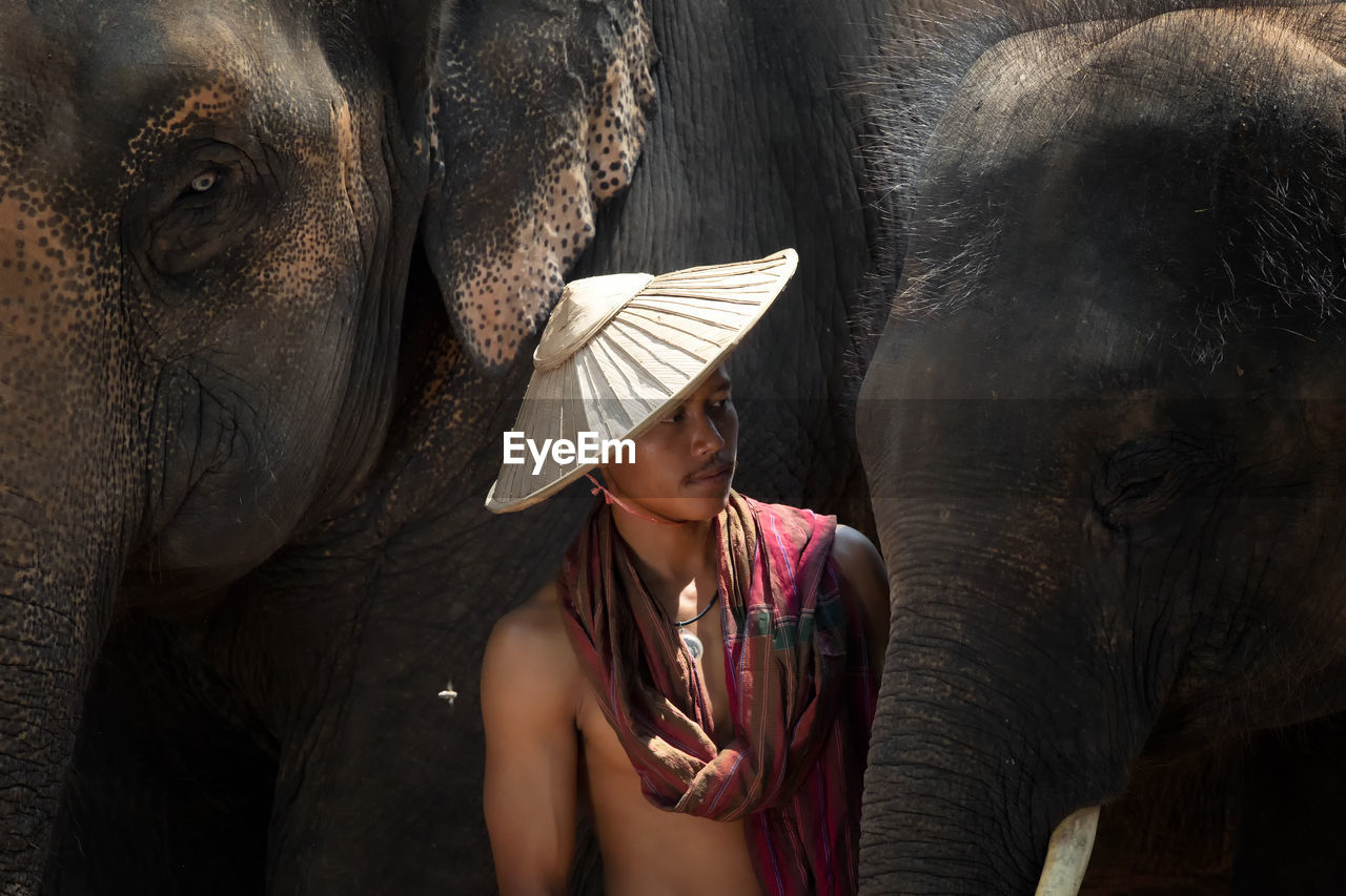 Young man standing by elephants outdoors