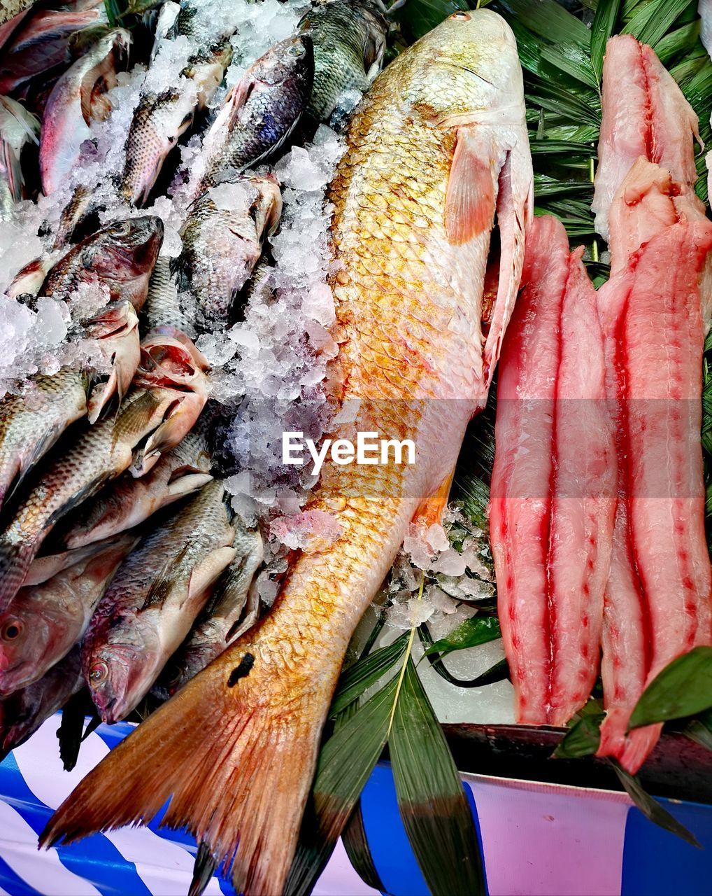 HIGH ANGLE VIEW OF FISH FOR SALE AT MARKET STALL