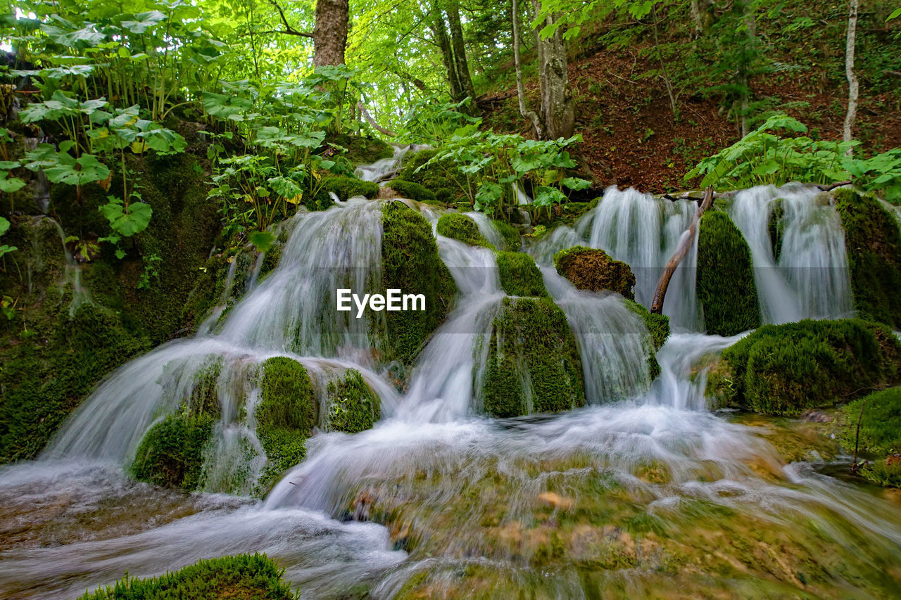 SCENIC VIEW OF WATERFALL