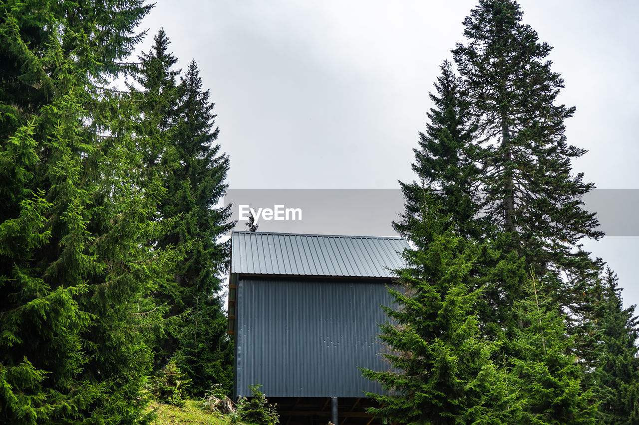 tree, plant, architecture, built structure, sky, nature, forest, building exterior, house, coniferous tree, no people, building, cloud, green, pine tree, pinaceae, growth, day, land, outdoors, environment, environmental conservation