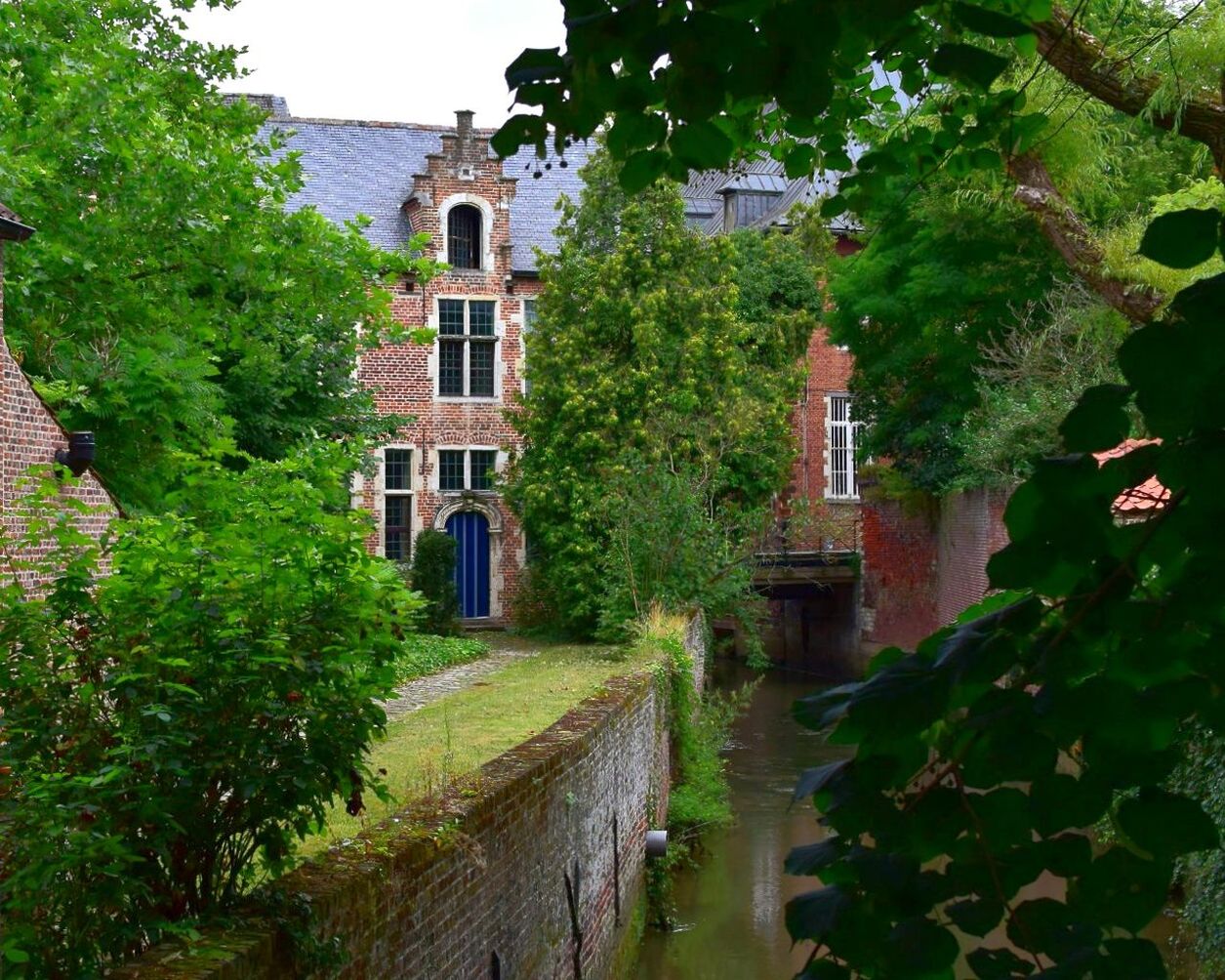 VIEW OF TREES AND BUILDING