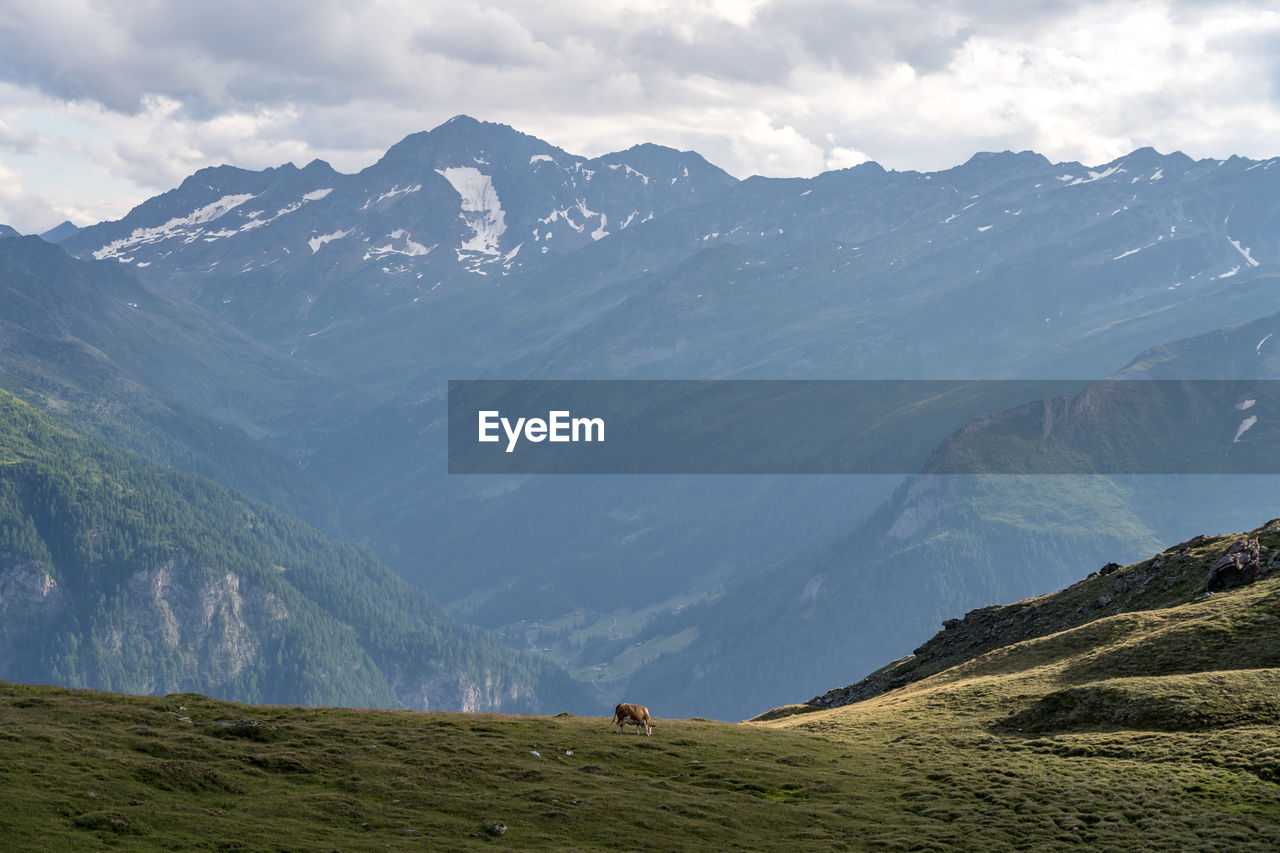 PANORAMIC VIEW OF SNOWCAPPED MOUNTAINS AGAINST SKY