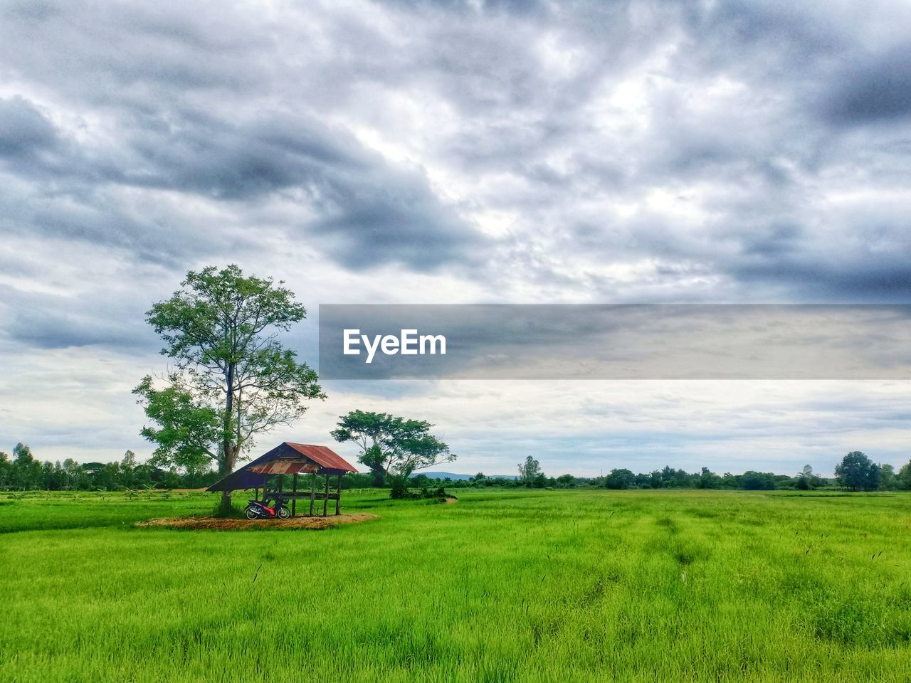 Scenic view of agricultural field against sky