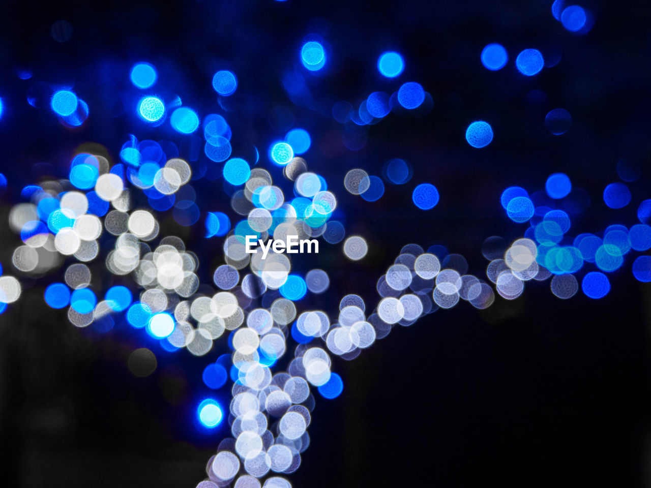 DEFOCUSED IMAGE OF CHRISTMAS LIGHTS