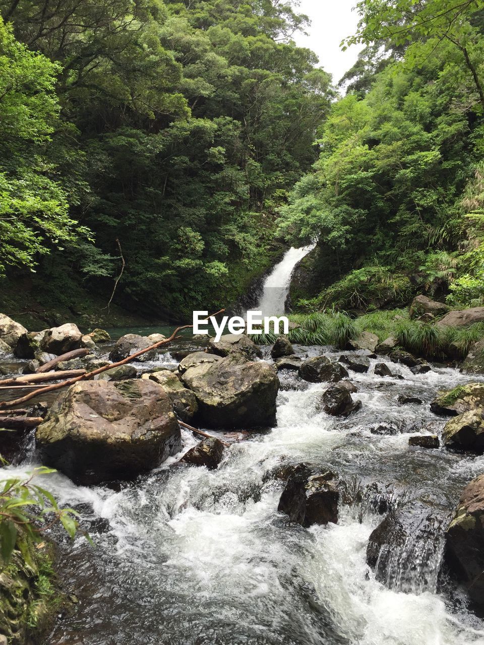 SCENIC VIEW OF WATERFALL STREAM AMIDST TREES