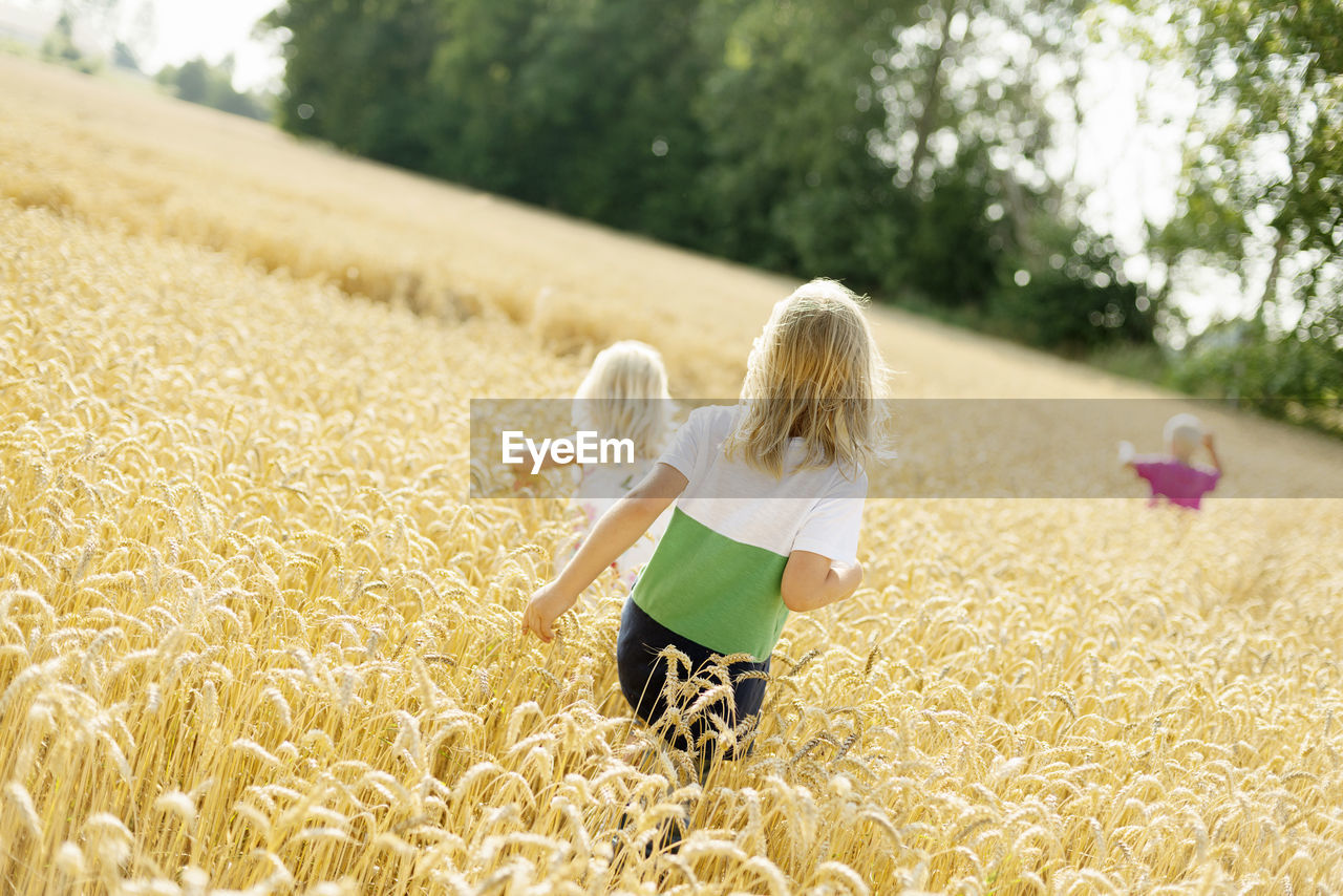 Children walking through wheat field