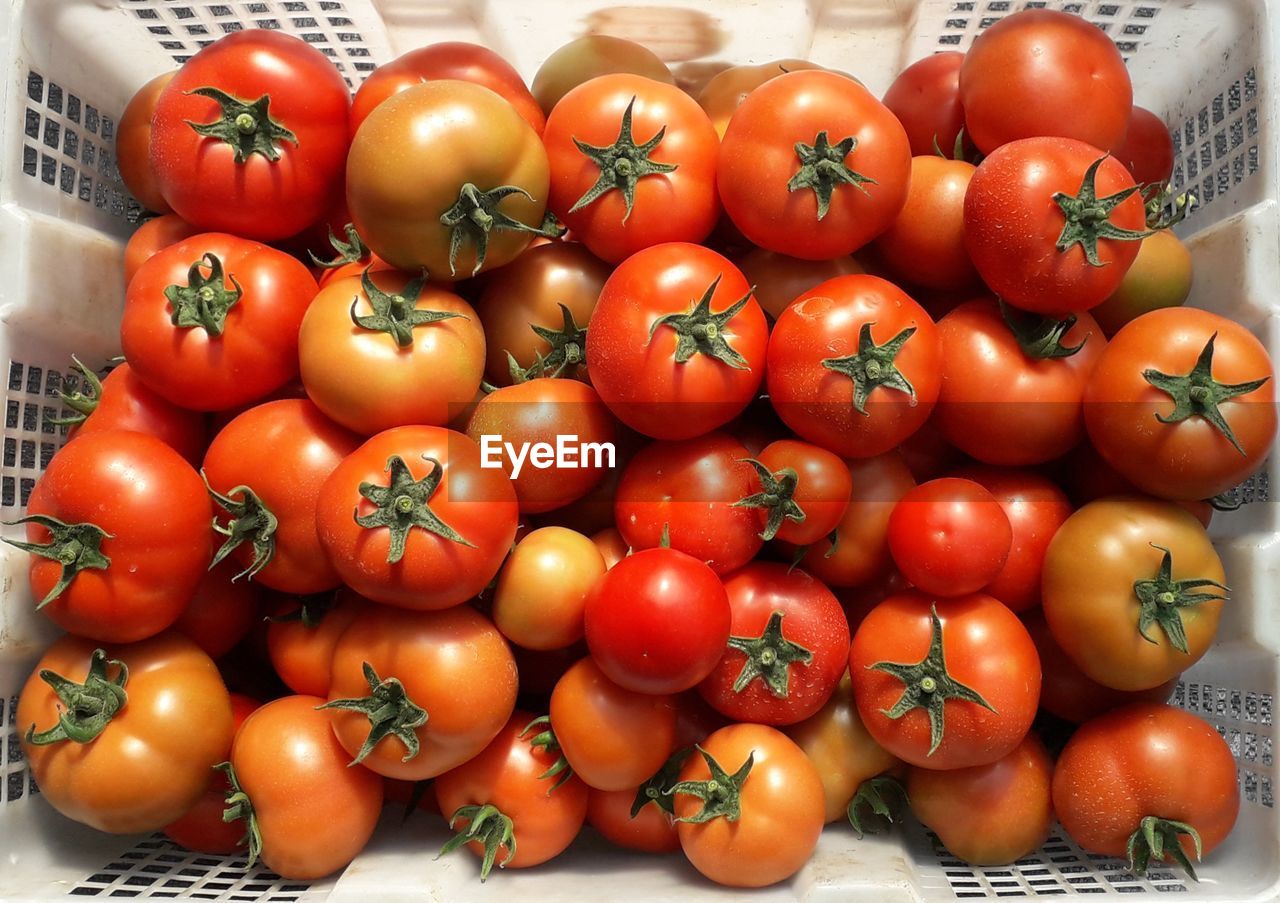 Full frame shot of tomatoes