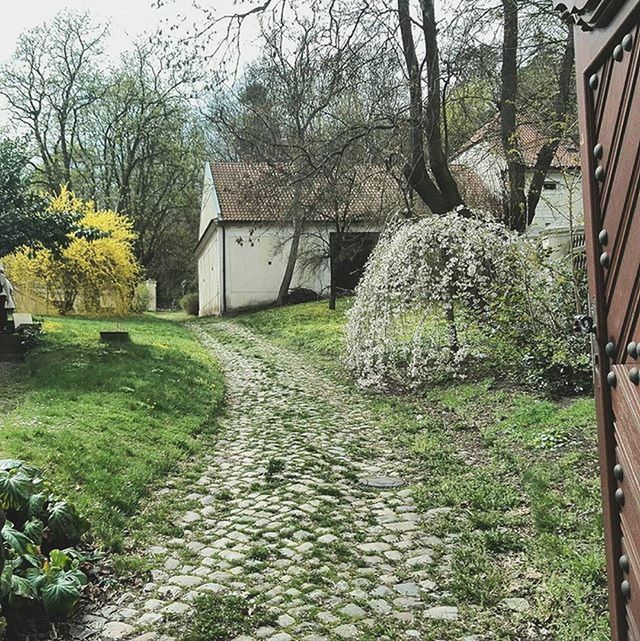 WALKWAY LEADING TO BUILDING