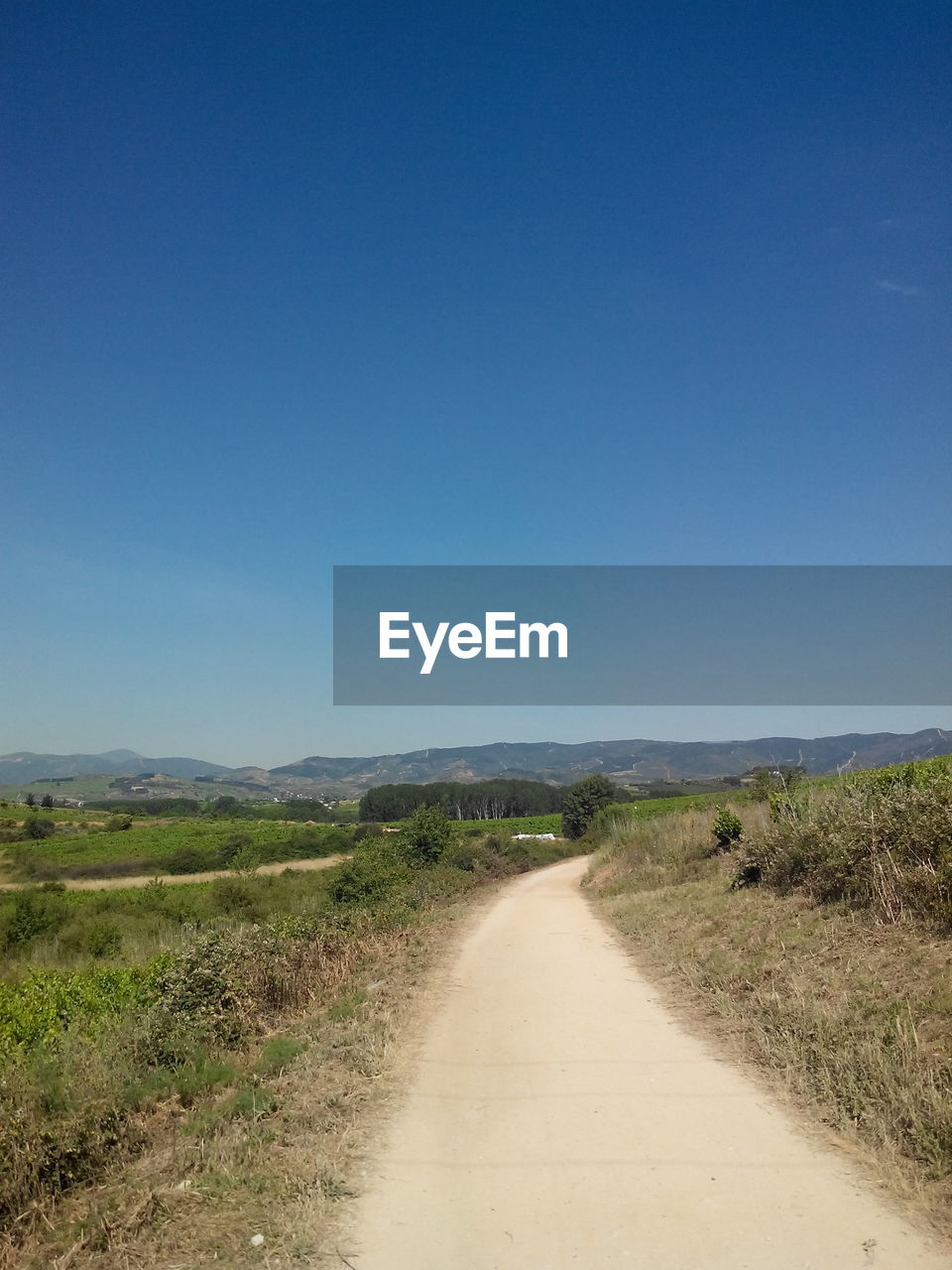 ROAD PASSING THROUGH LANDSCAPE