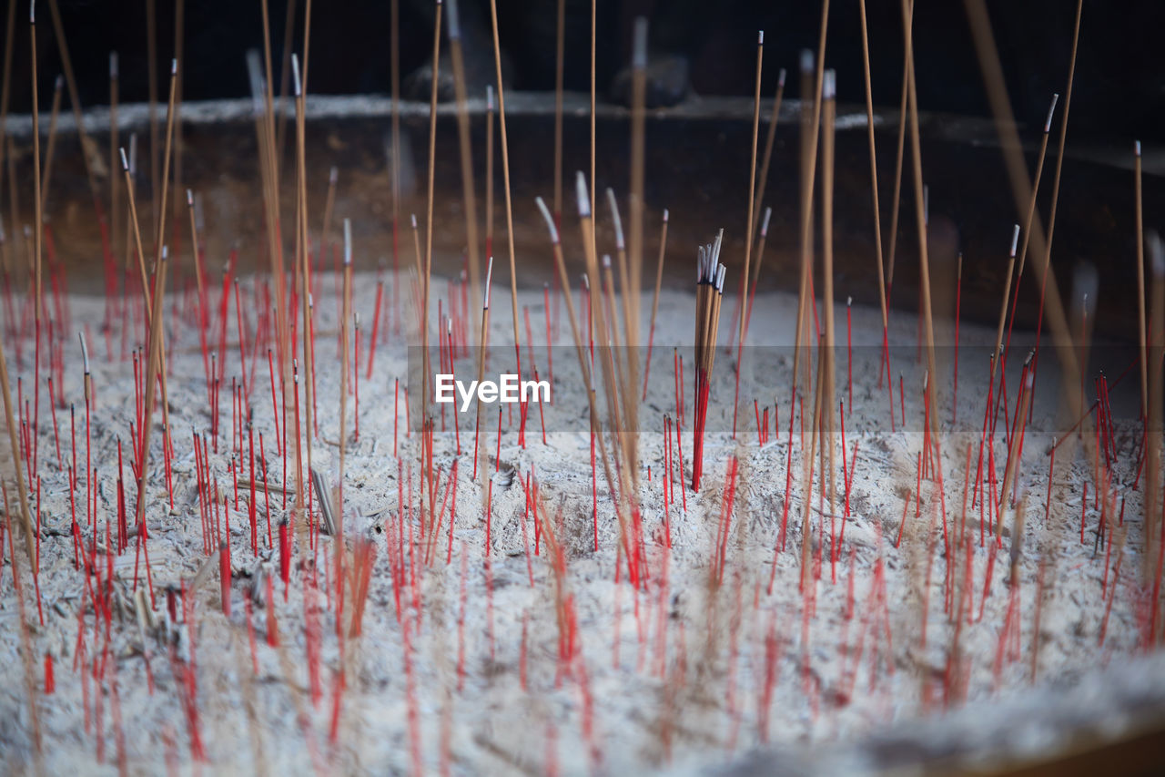 Close-up of red sticks on wood