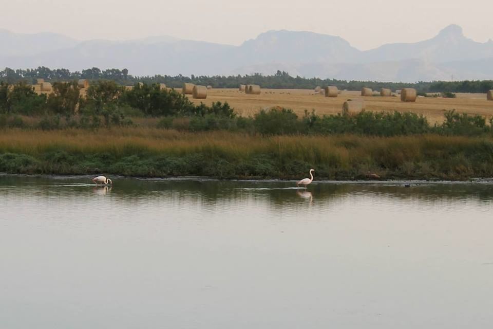 SCENIC VIEW OF CALM LAKE WITH MOUNTAINS IN BACKGROUND