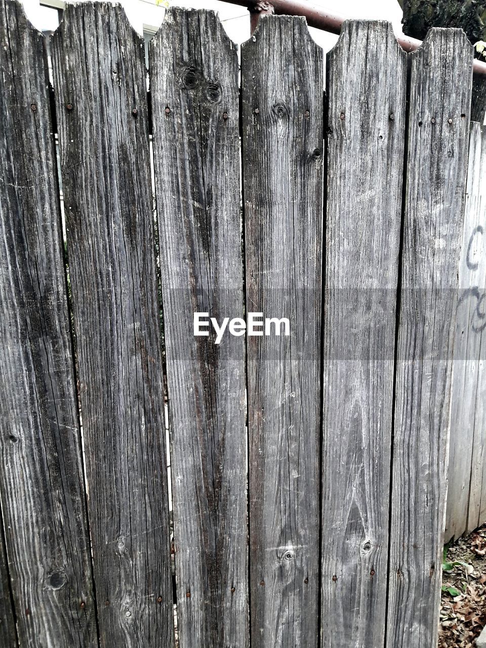 CLOSE-UP OF BARK