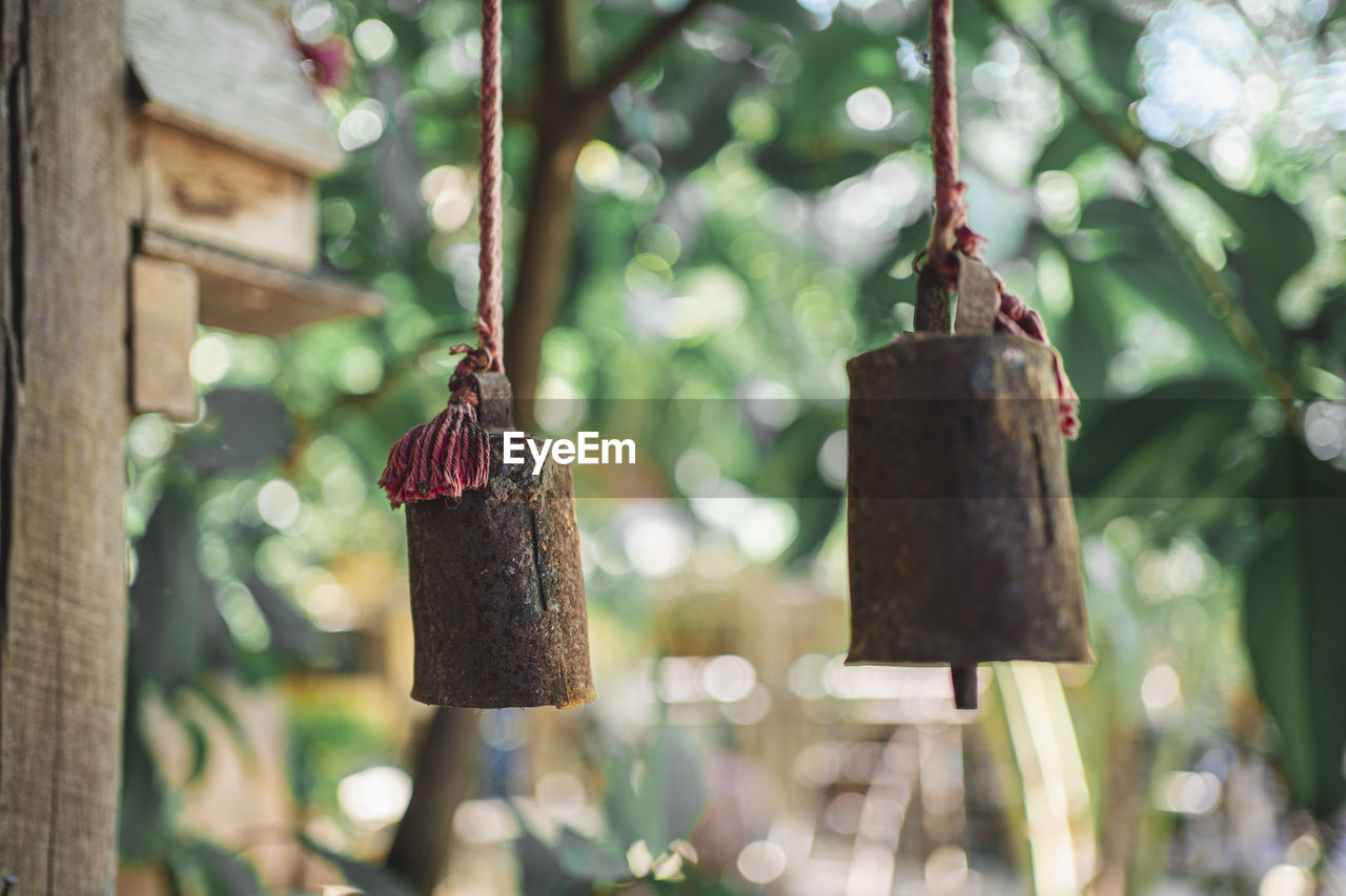 Close-up of bell hanging on tree