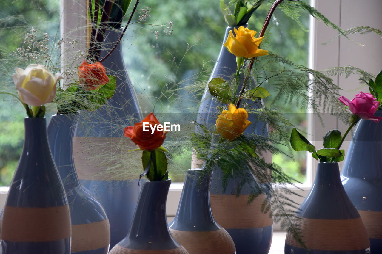 Close-up of multicolor roses in vase