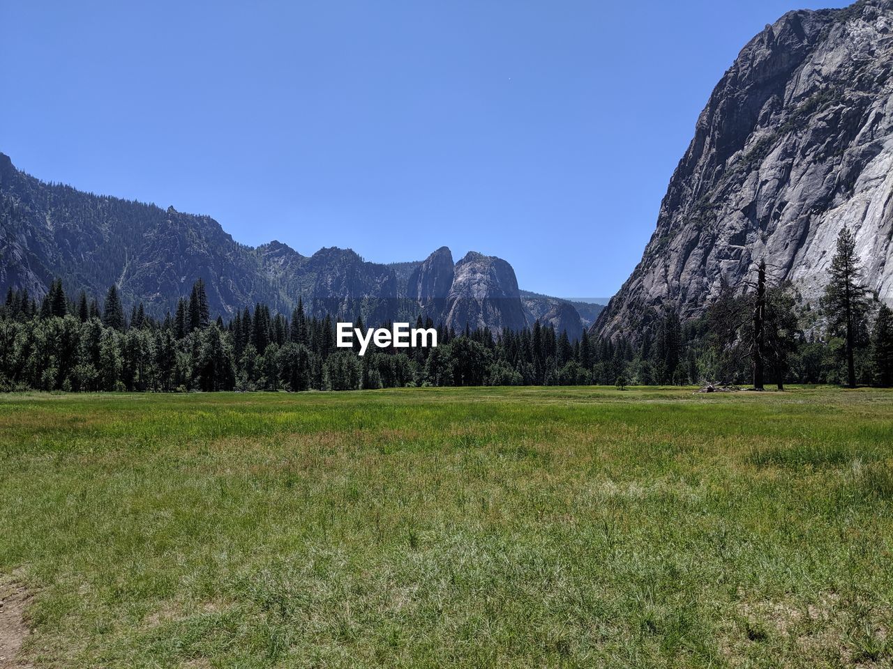 PANORAMIC SHOT OF FIELD AGAINST CLEAR SKY