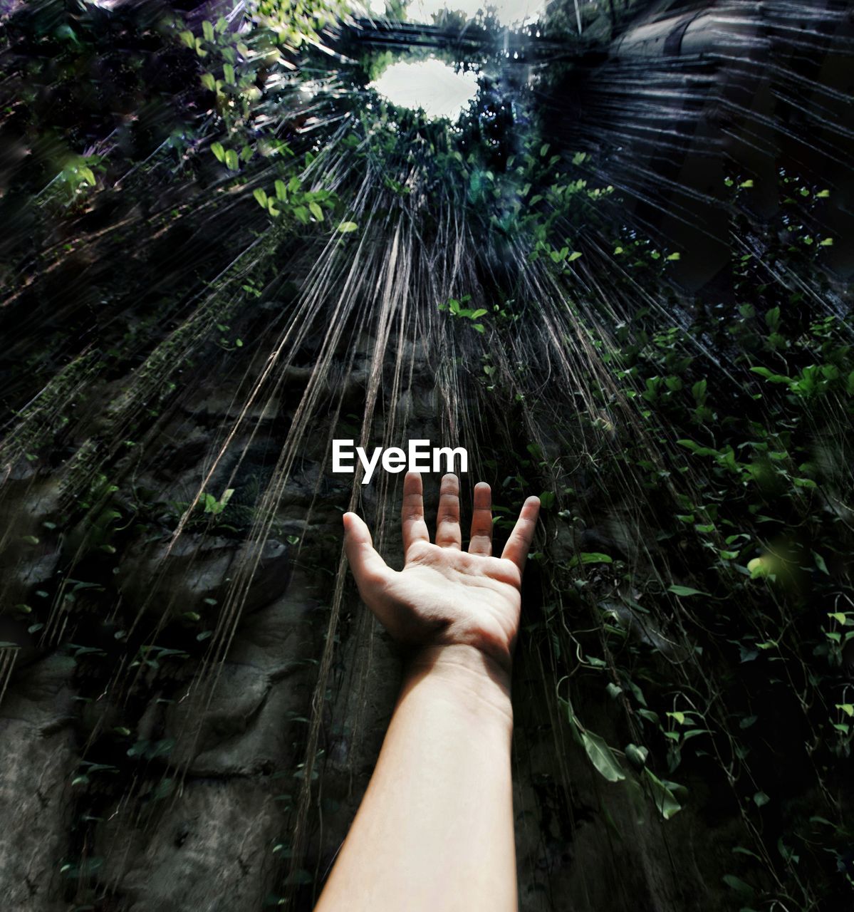 Cropped image of hand against branches hanging from rock formation