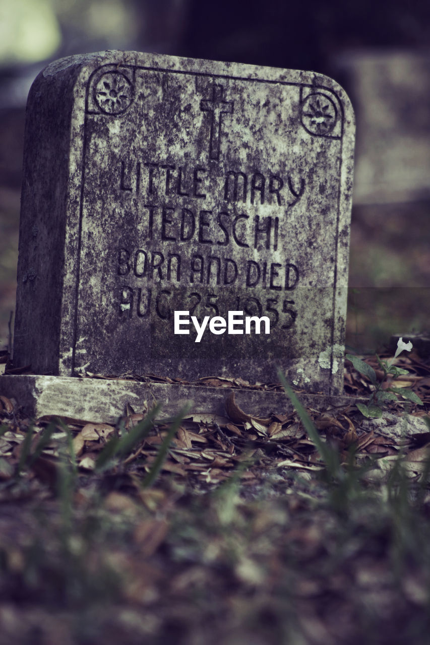 CLOSE-UP OF INFORMATION SIGN ON CEMETERY AT PARK