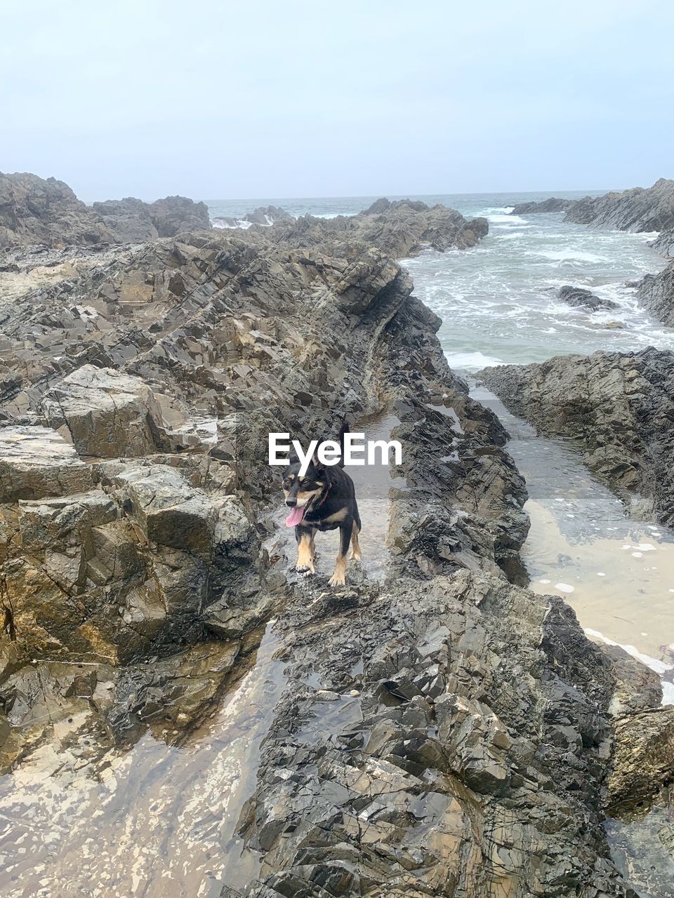 FULL LENGTH OF MAN ON ROCK AT BEACH