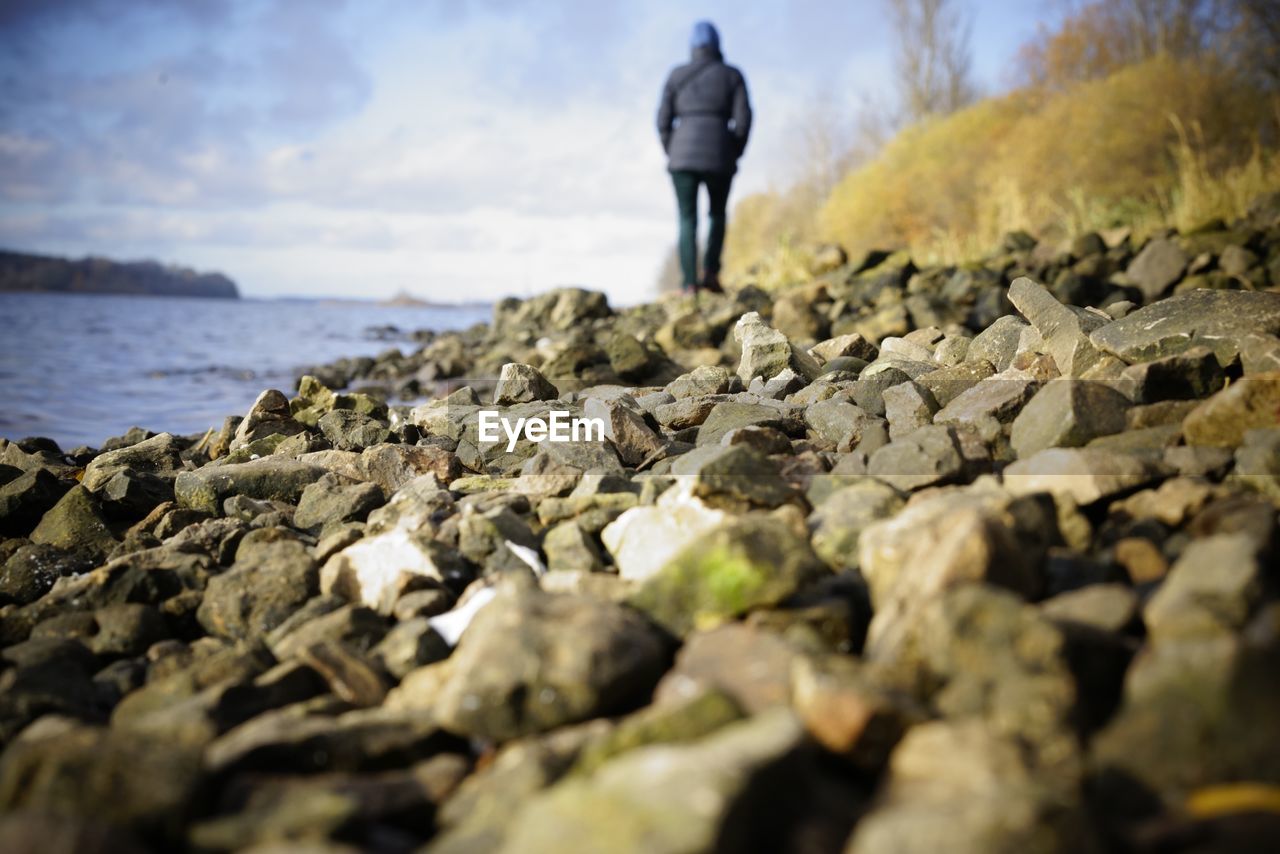 Rear view of man standing on rock in sea