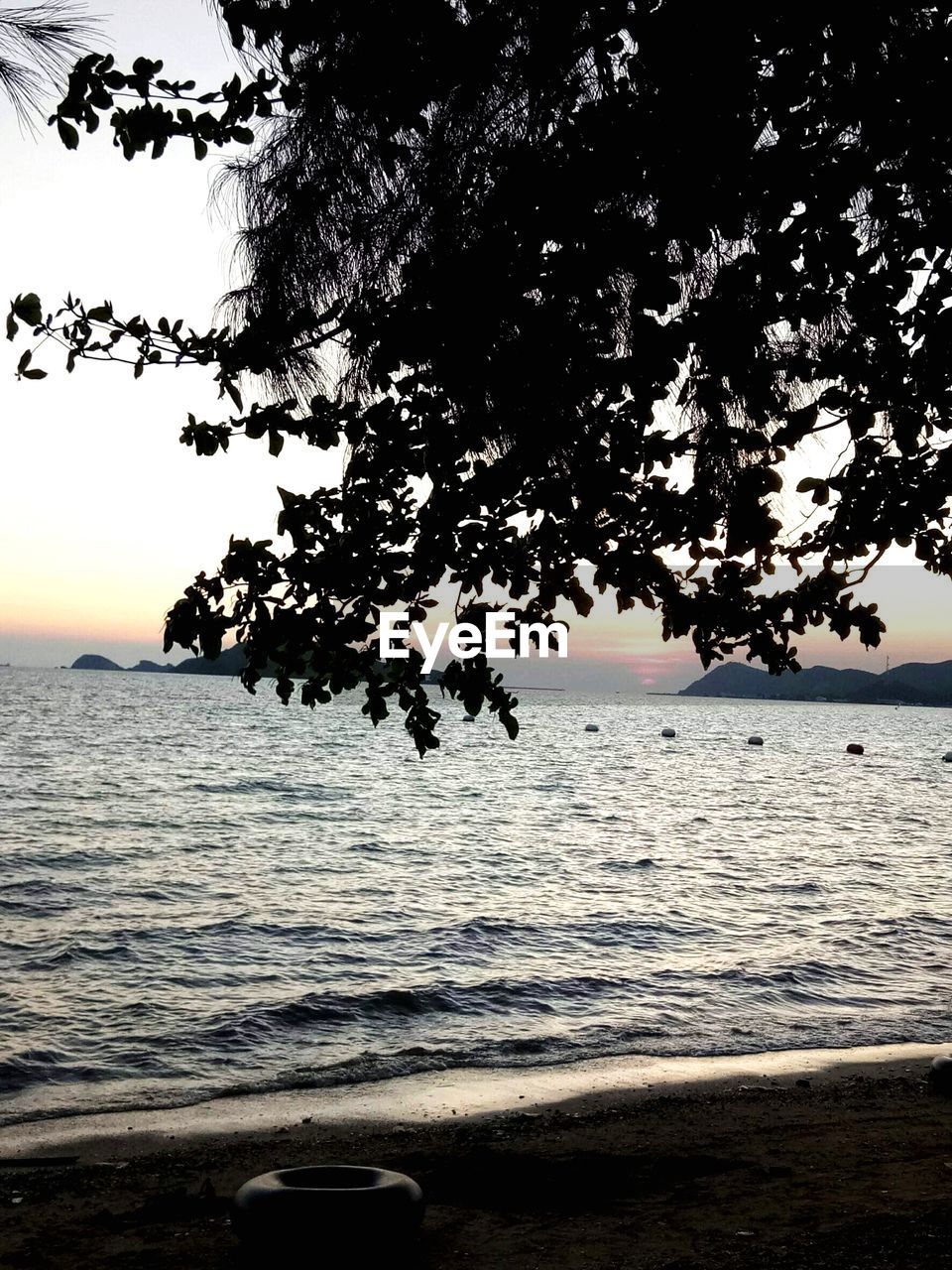 SILHOUETTE TREE BY SEA AGAINST SKY AT SUNSET