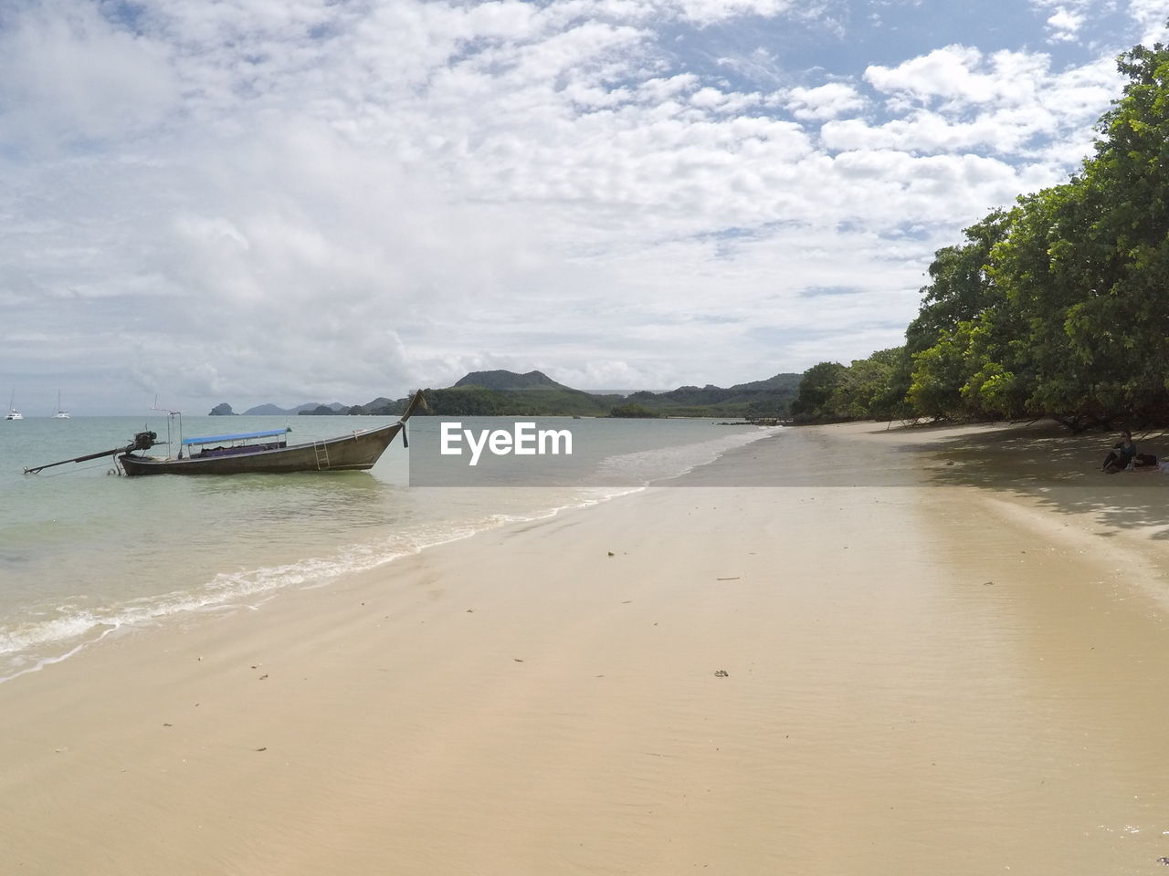 Boat anchored at shore of beach by trees