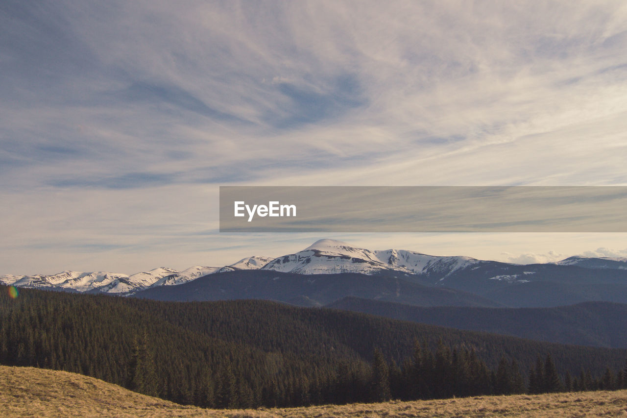 Pine forest hills with peaceful mountains landscape photo