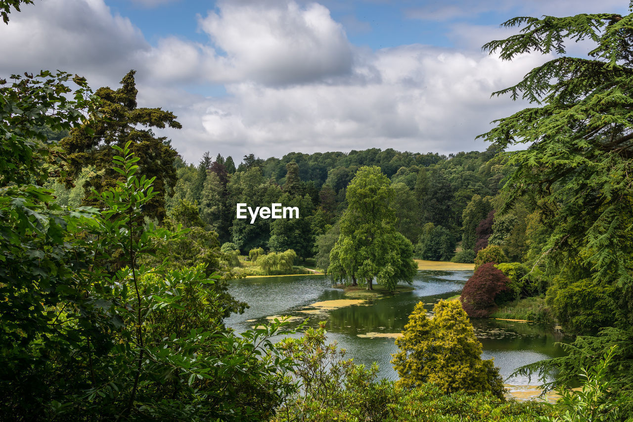 Scenic view of river in forest against sky