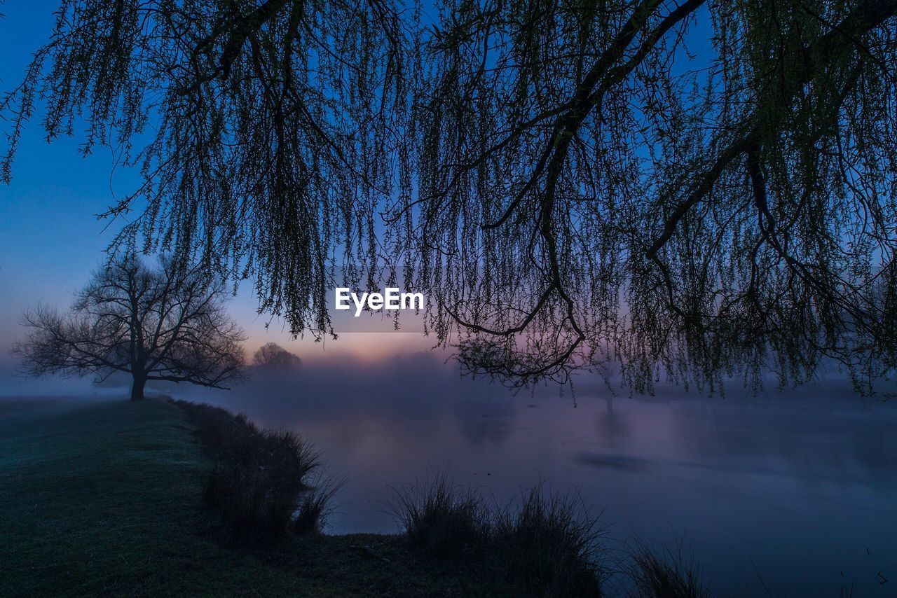 Silhouette trees by lake against sky