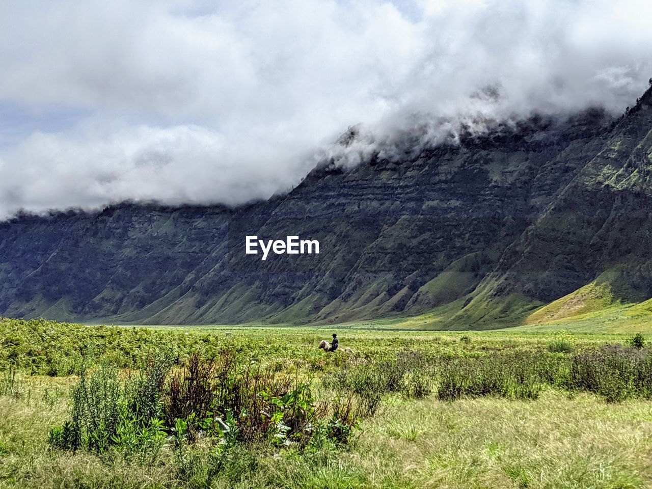 SCENIC VIEW OF LAND AGAINST SKY