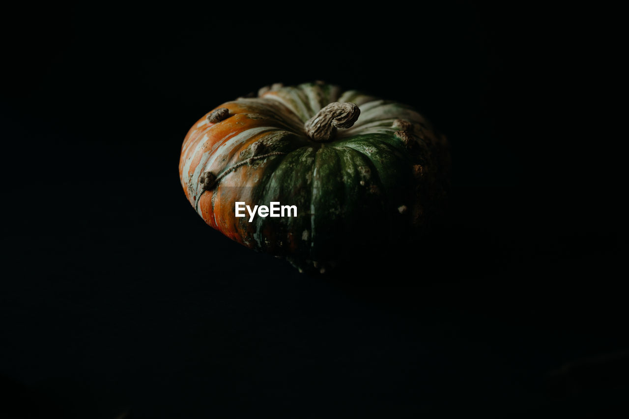 CLOSE-UP OF PUMPKINS AGAINST BLACK BACKGROUND