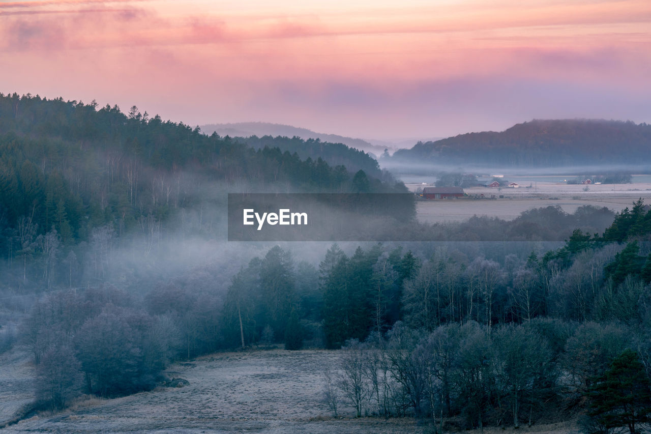 View over forest clad hills and open valleys on a cold foggy morning in southern sweden.