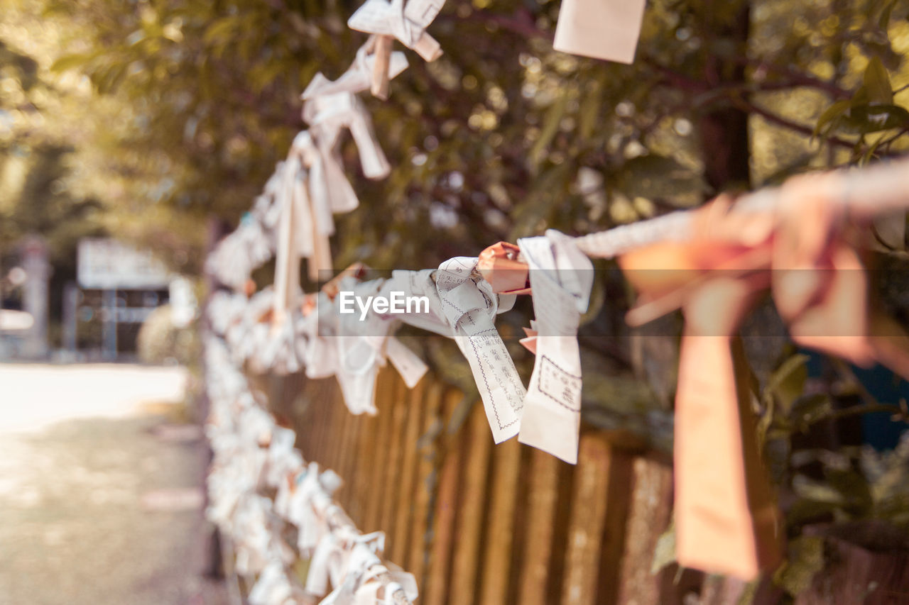 Papers hanging on ropes against trees