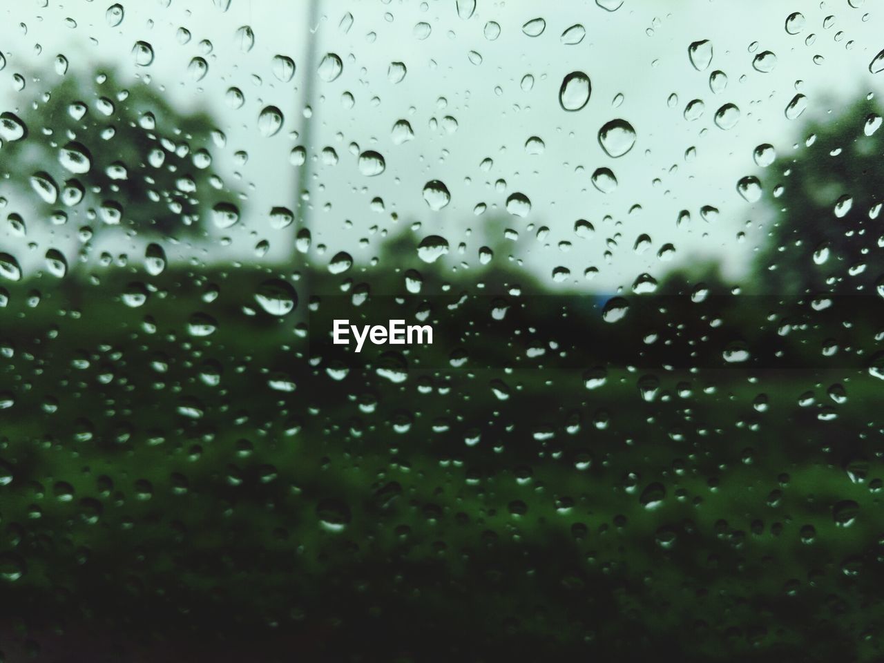 CLOSE-UP OF WATER DROPS ON WATER SURFACE