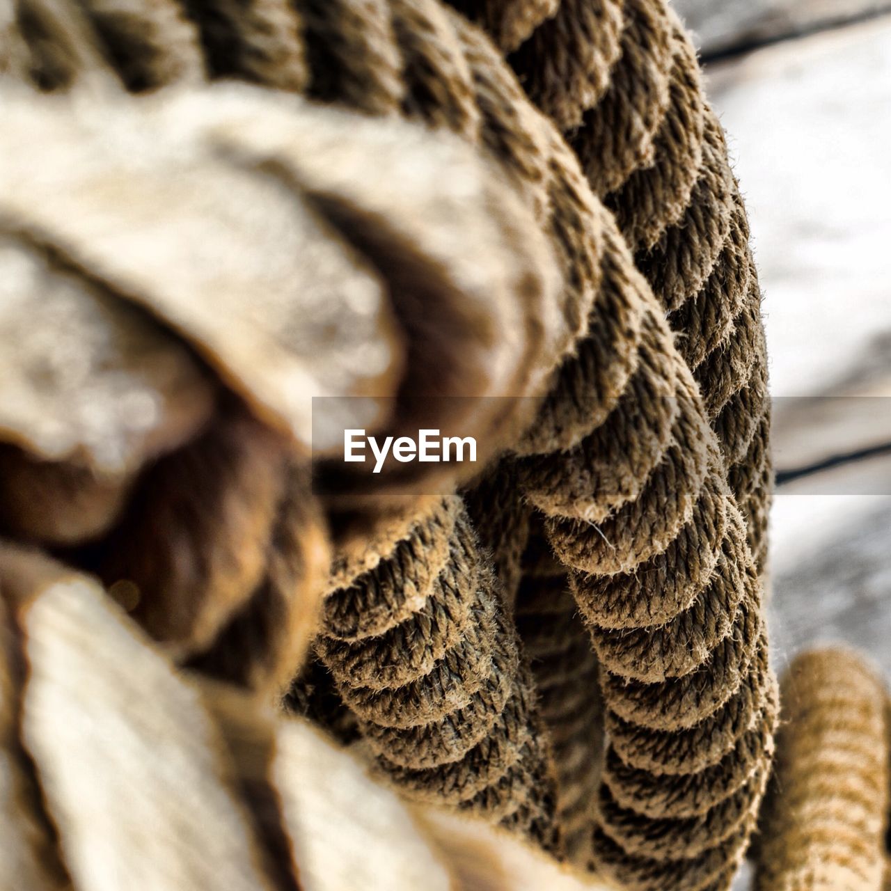 CLOSE-UP OF ROPES ON ROPE