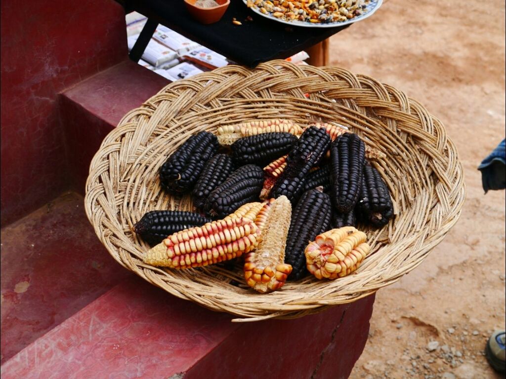 CLOSE-UP OF FOOD IN BASKET