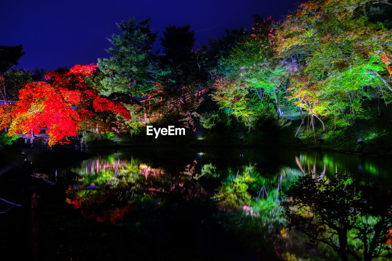 SCENIC VIEW OF LAKE BY TREES AT NIGHT