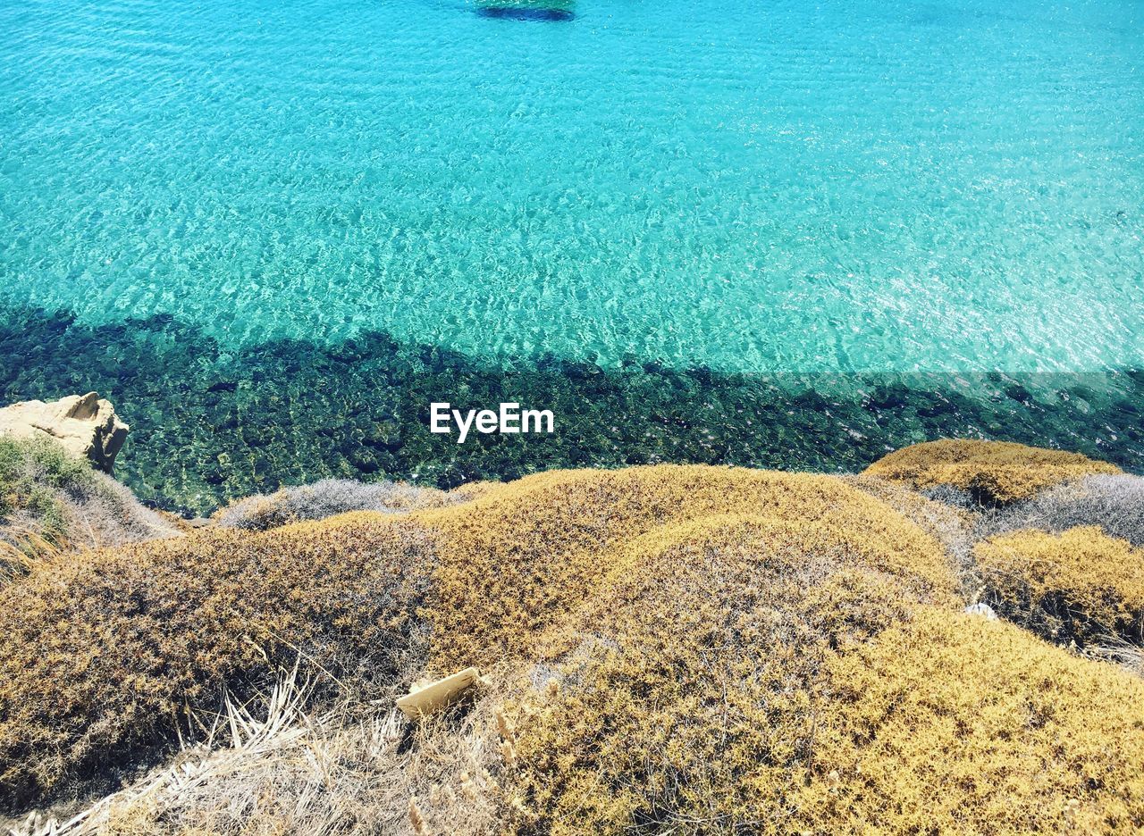 High angle view of sea shore at beach