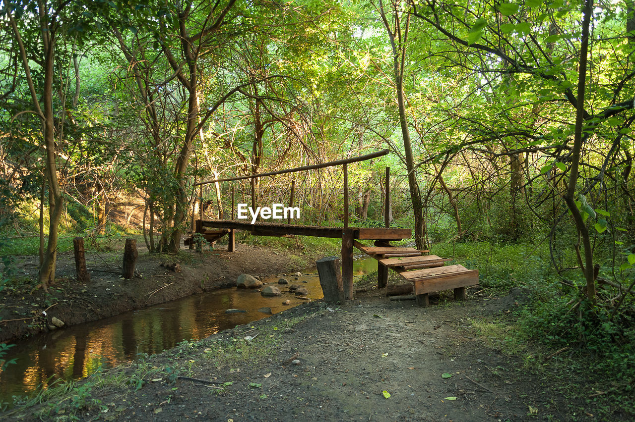 WOODEN FOOTBRIDGE IN FOREST